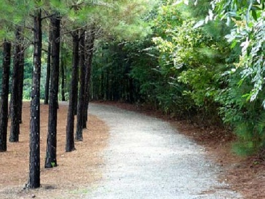 Fitness Trail Fitness Trail