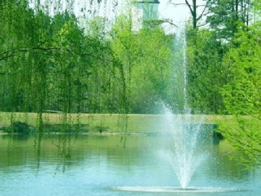 Lake and Dock Lake and Dock