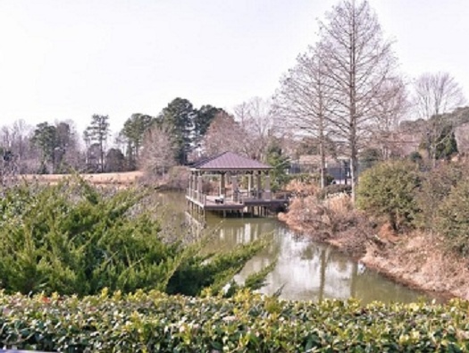 Lake and Dock Lake and Dock