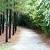 Fitness Trail